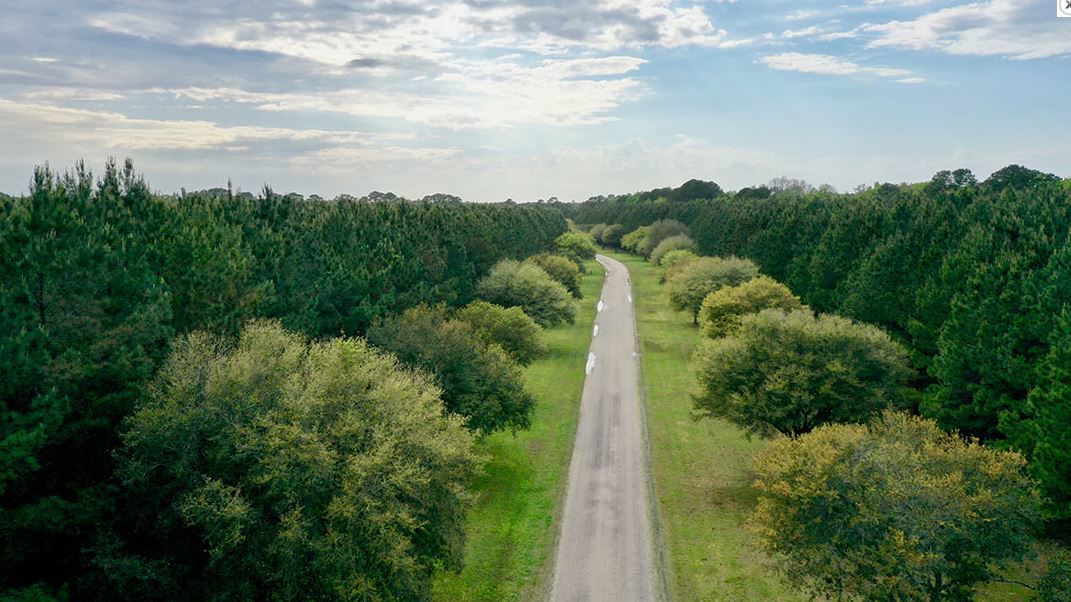 Farms at Brickhouse Plantation entry road